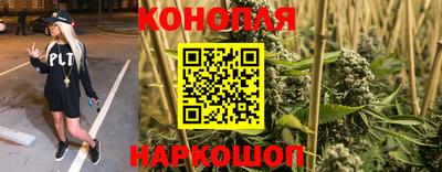 соль ск Лесосибирск