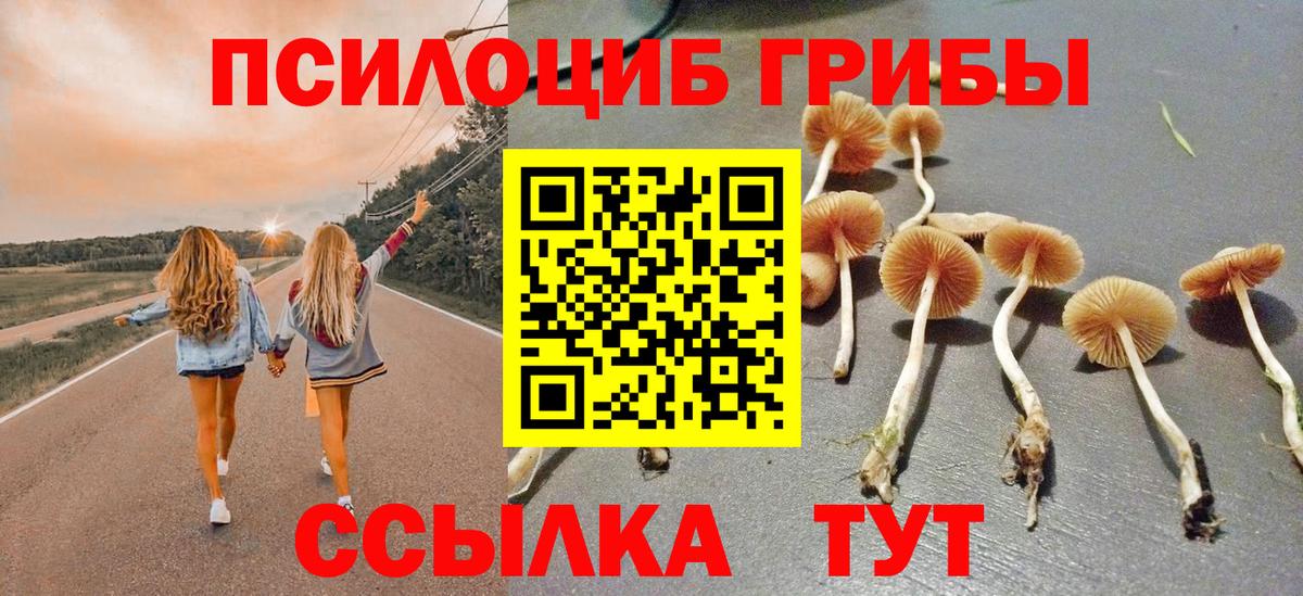 Галлюциногенные грибы прущие грибы Еманжелинск