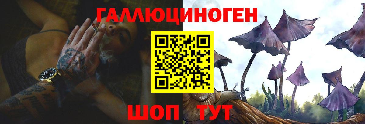 Псилоцибиновые грибы GOLDEN TEACHER  что такое   Еманжелинск  Вход с VPN  Псилоцибиновые грибы прущие грибы 